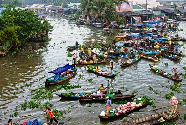 Việt Nam đóng góp tích cực trong các hoạt động của Ủy hội sông Mê Công quốc tế  - ảnh 1